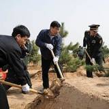 总装政委迟万春到试验场植树