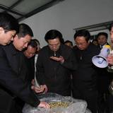 兰州军区司令员王国生看望在宁夏同心县抗旱官兵
