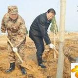 赵克石陈国令罗志军等参加义务植树活动